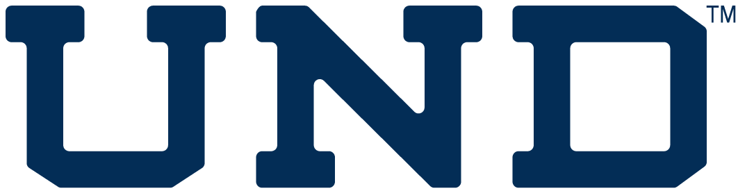 Notre Dame Fighting Irish 0-Pres Wordmark Logo v3 iron on transfers for fabric